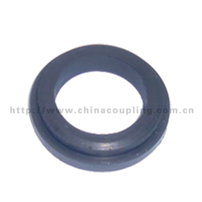 Gasket for sand blast couplings